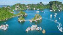 Bảng Giá Tour Du Thuyền Vịnh Lan Hạ - Cát Bà Mới Nhất 2024