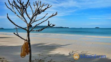 Kinh nghiệm du lịch Cô Tô - Hòn đảo đẹp nhất Vịnh Bắc Bộ