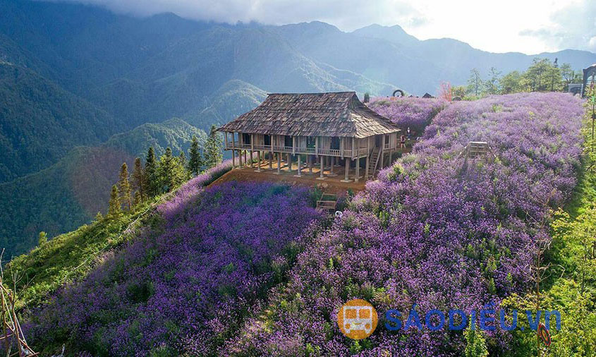 Cho Thuê Xe Giường Cabin Đôi Từ Hà Nội Đi Sapa