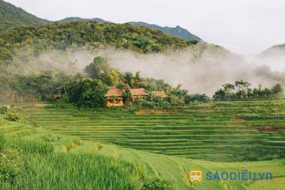 Homestay Pù Luông