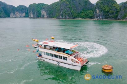 Du Thuyền Daiichi Cruise II