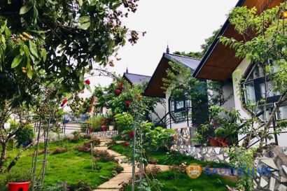 Homestay Hoa Sữa