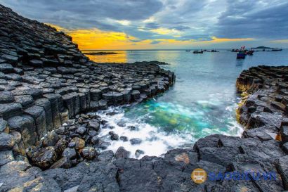 Tour Quy Nhơn - Phú Yên - Hoa Vàng - Tháp Nghinh Phong 01 Ngày