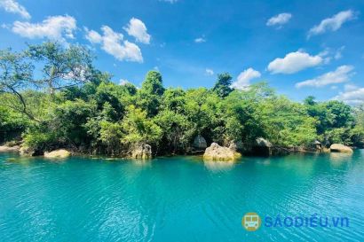 Tour Động Phong Nha - Sông Chày Hang Tối 01 Ngày