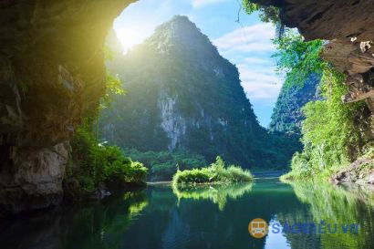 Tour Động Phong Nha - Suối Nước Moọc 01 Ngày