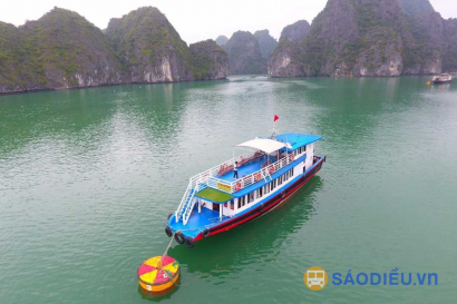 Du Thuyền Lan Hạ Xanh 69