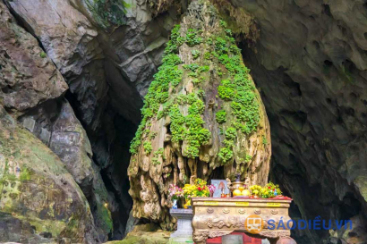 Tour Đường Lâm - Chùa Mía - Sơn Tây - Khai Nguyên 1 Ngày